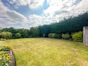 Photo 11- click for photo gallery